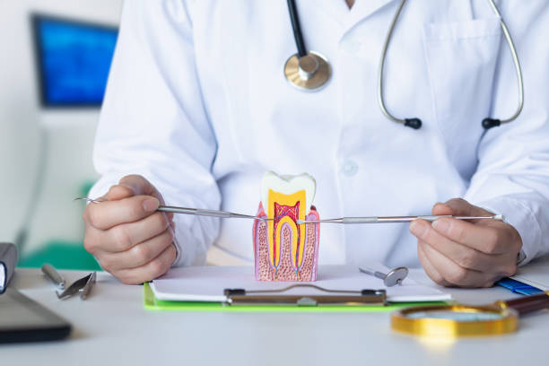 Best Emergency Root Canal Treatment in Snohomish, WA